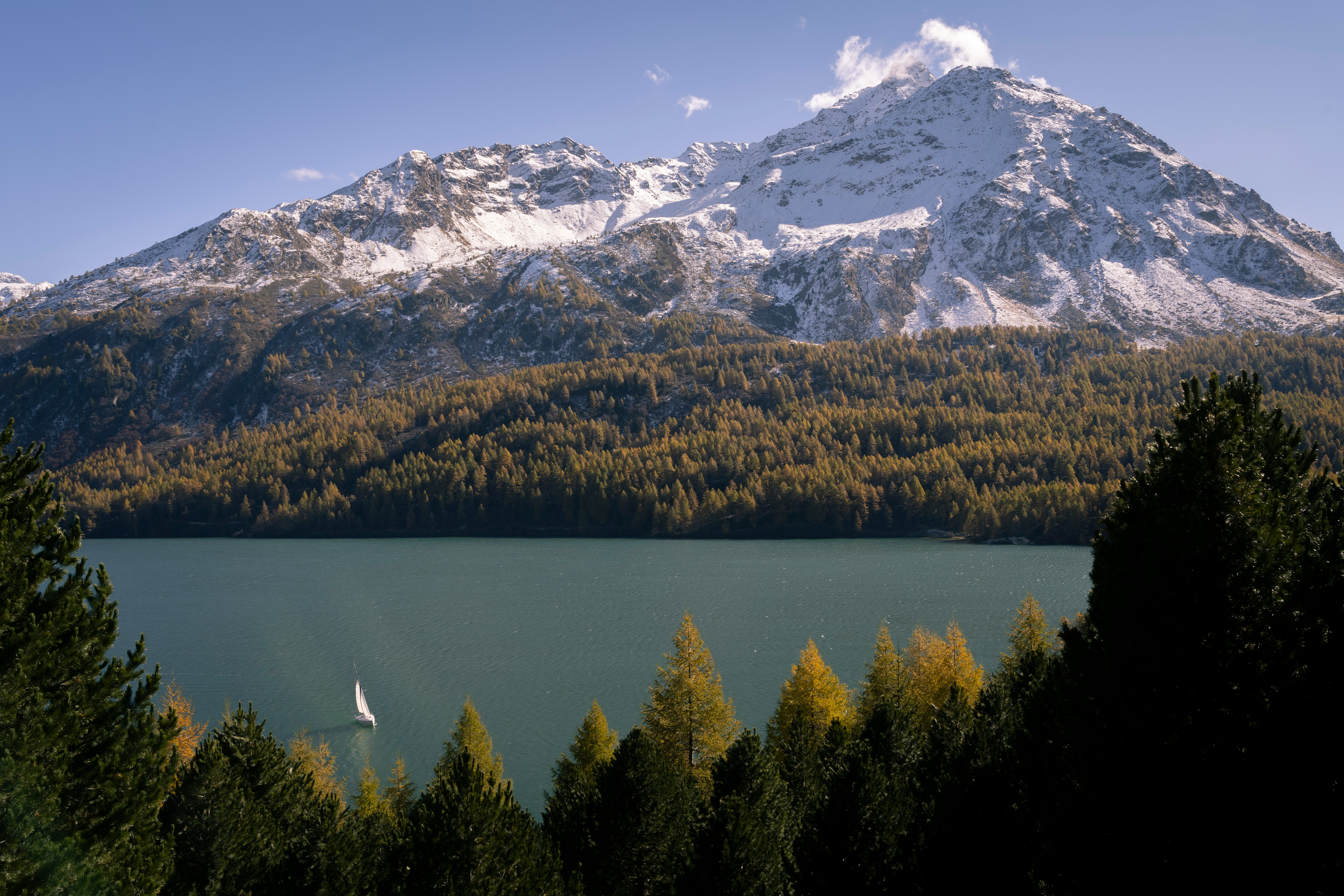 green pine trees near snow covered mountain during daytime